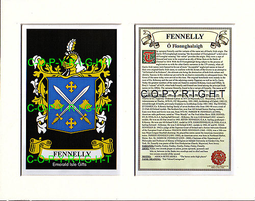 Fennelly Family Crest and Name History