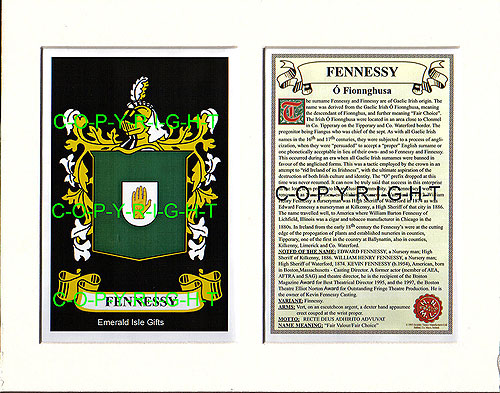 Fennessy Family Crest and Name History