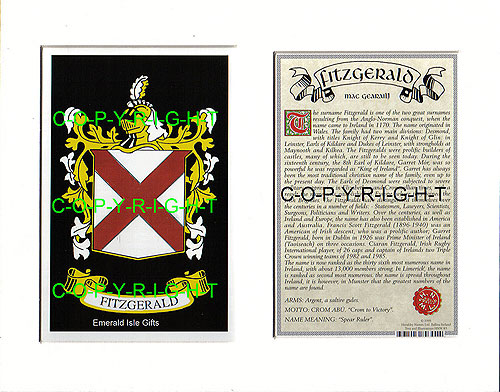 Fitzgerald Family Crest and Name History