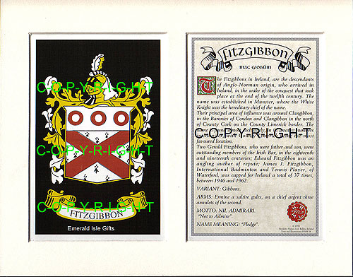 Fitzgibbon Family Crest and Name History