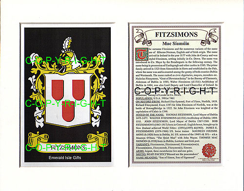 Fitzsimons Family Crest and Name History