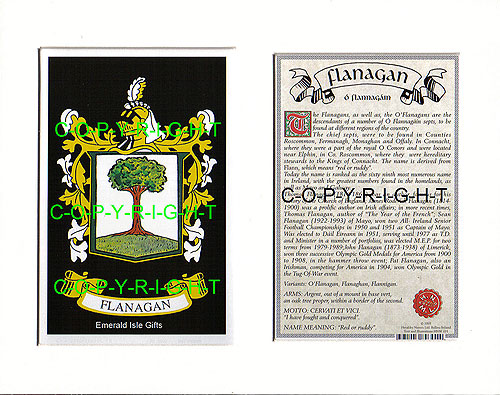 Flanagan Family Crest and Name History