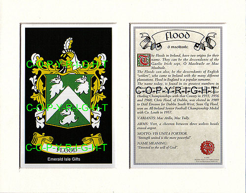 Flood Family Crest and Name History