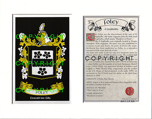 Foley Family Crest and Name History