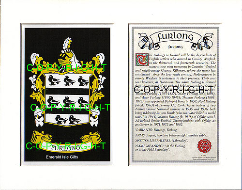 Furlong Family Crest and Name History