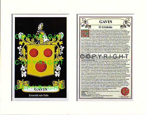 Gavin Family Crest and Name History