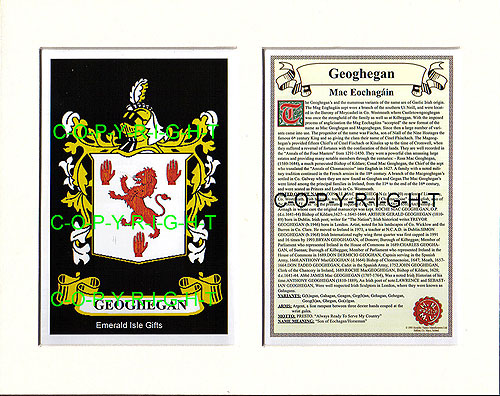 Geoghegan Family Crest and Name History