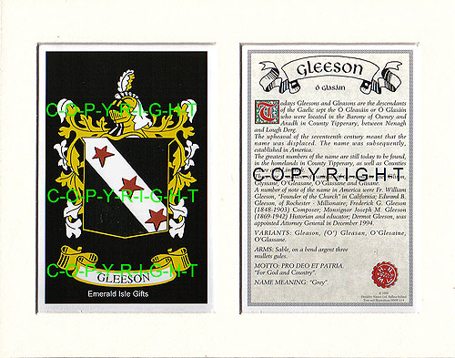 Gleeson Family Crest and Name History