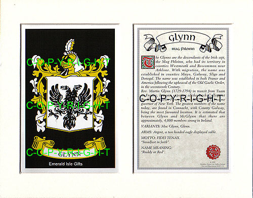 Glynn Family Crest and Name History