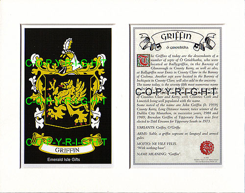 Griffin Family Crest and Name History