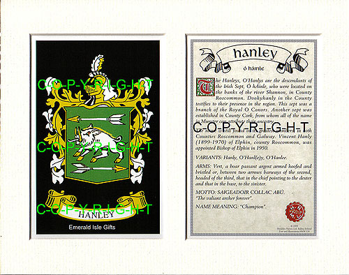 Hanley Family Crest and Name History