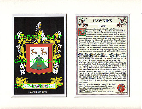 Hawkins Family Crest and Name History