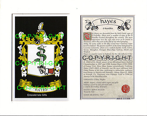 Hayes Family Crest and Name History