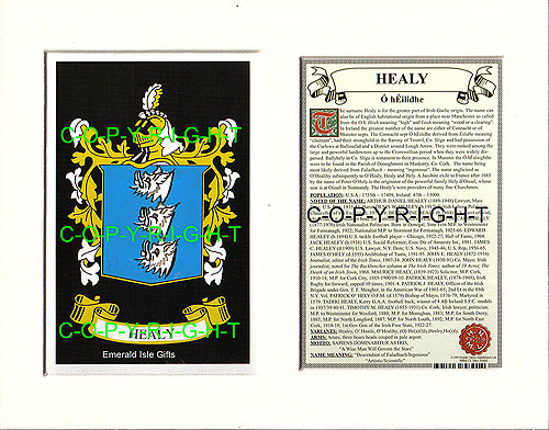 Healy Family Crest and Name History