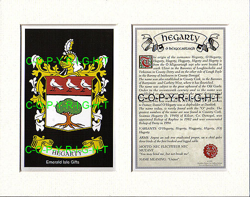 Hegarty Family Crest and Name History