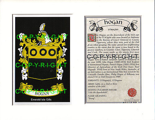 Hogan Family Crest and Name History