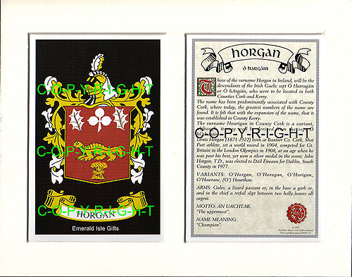 Horgan Family Crest and Name History