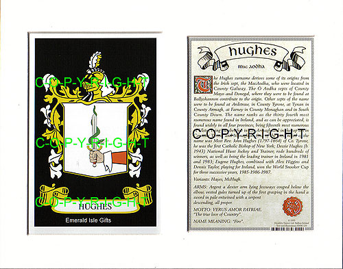 Hughes Family Crest and Name History