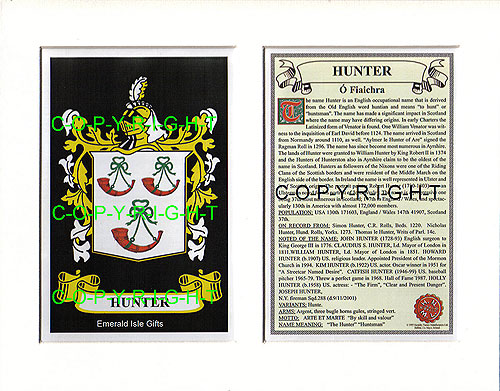 Hunter Family Crest and Name History