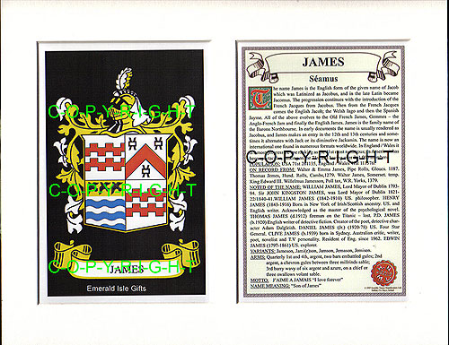 James Family Crest and Name History