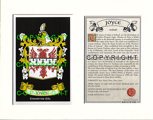 Joyce Family Crest and Name History