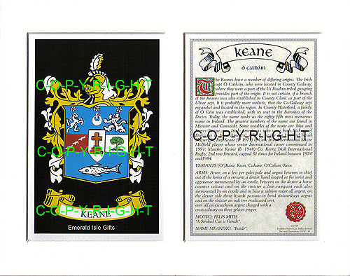 Keane Family Crest and Name History