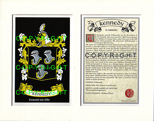 Kennedy Family Crest and Name History