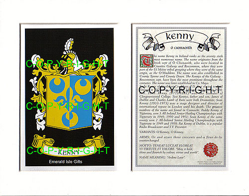 Kenny Family Crest and Name History