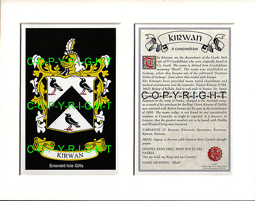 Kirwin Family Crest and Name History