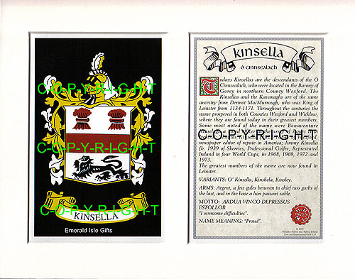 KINNIGHAN to LANGAN Family Crest and Name History