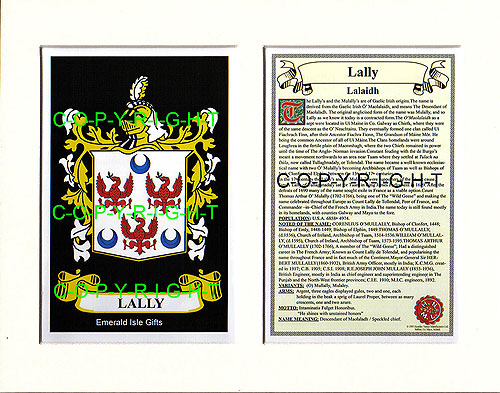 Lally Family Crest and Name History