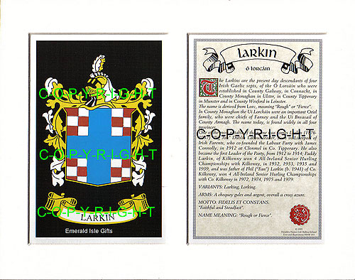 Larkin Family Crest and Name History