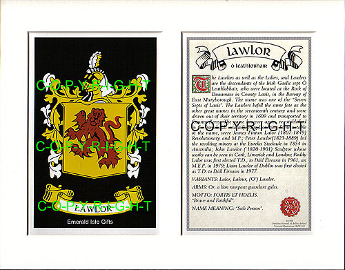 Lawlor Family Crest and Name History