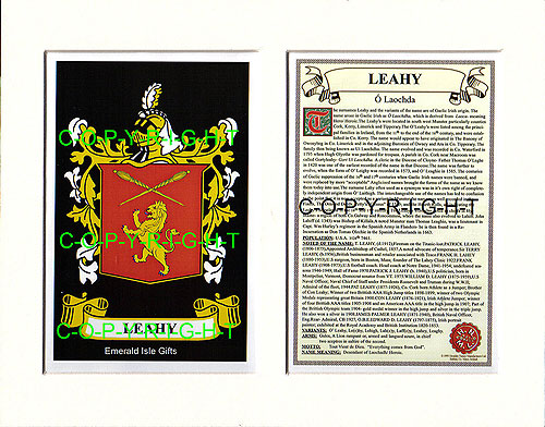 Leahy Family Crest and Name History