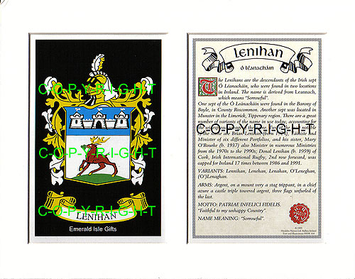 Lenihan Family Crest and Name History