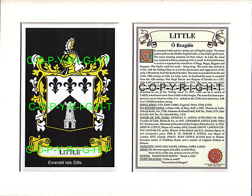 Little Family Crest and Name History