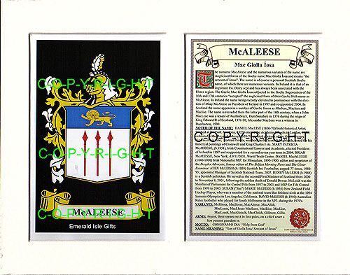 McAleese Family Crest and Name History