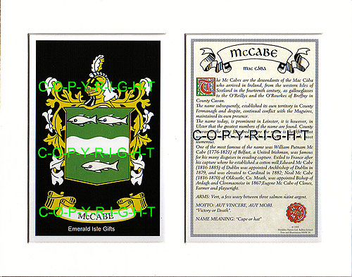 McCabe Family Crest and Name History