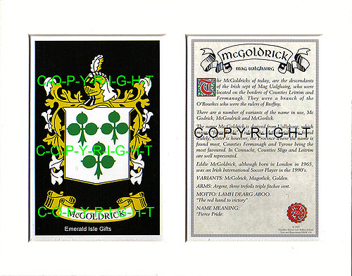 McGoldrick Family Crest and Name History