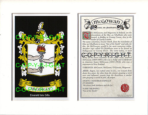 McGowan Family Crest and Name History