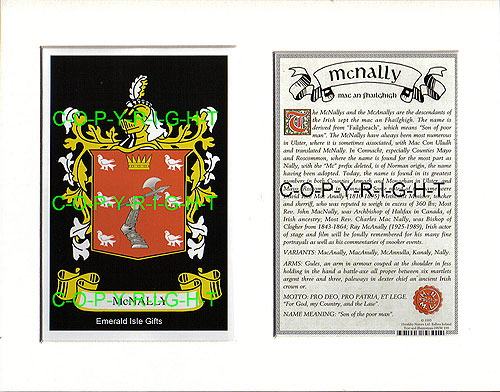 McNally Family Crest and Name History