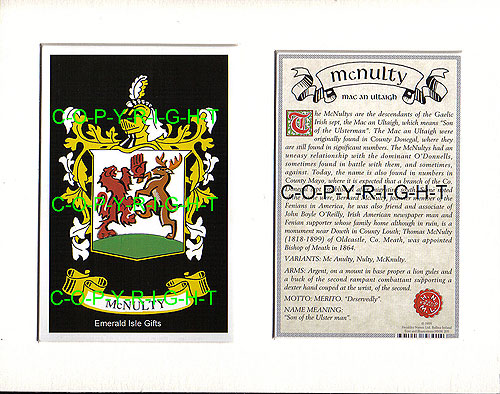 McNulty Family Crest and Name History