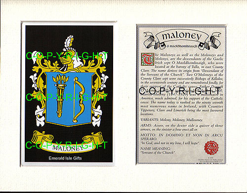 Maloney Family Crest and Name History