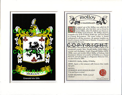 Molloy Family Crest and Name History