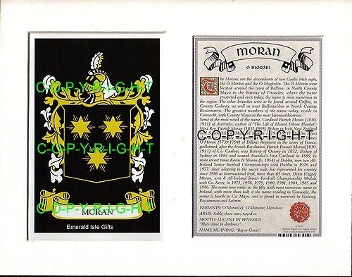 Moran Family Crest and Name History