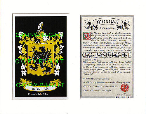 Morgan Family Crest and Name History