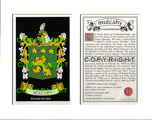 Mulcahy Family Crest and Name History