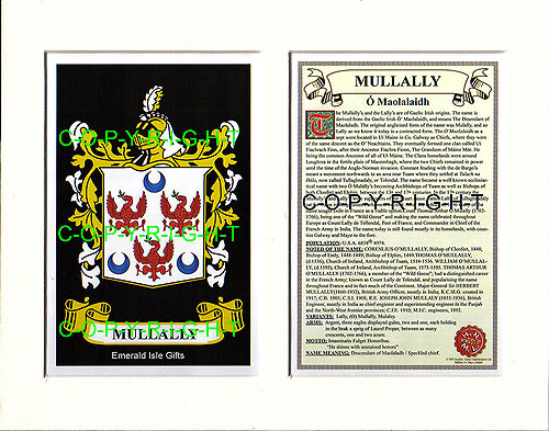 Mullally Family Crest and Name History