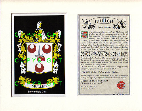 Mullen Family Crest and Name History