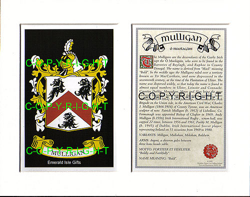 Mulligan Family Crest and Name History